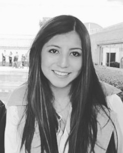 Contador Público graduado de la Universidad Militar Nueva Granada en Bogotá, Colombia, con un historial exitoso como Líder Empresarial especializado en Implementación SAP, Integración Financiera y Análisis de Procesos. Especialista en Derecho Contable y Tributario de la Universidad de la Sabana.